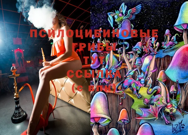 дживик Володарск
