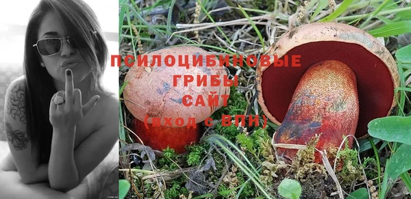 ПСИЛОЦИБИНОВЫЕ ГРИБЫ Волоколамск